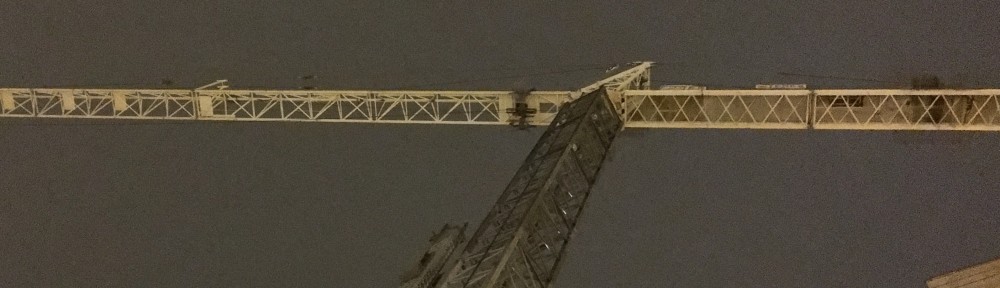 165 North Desplaines tower crane